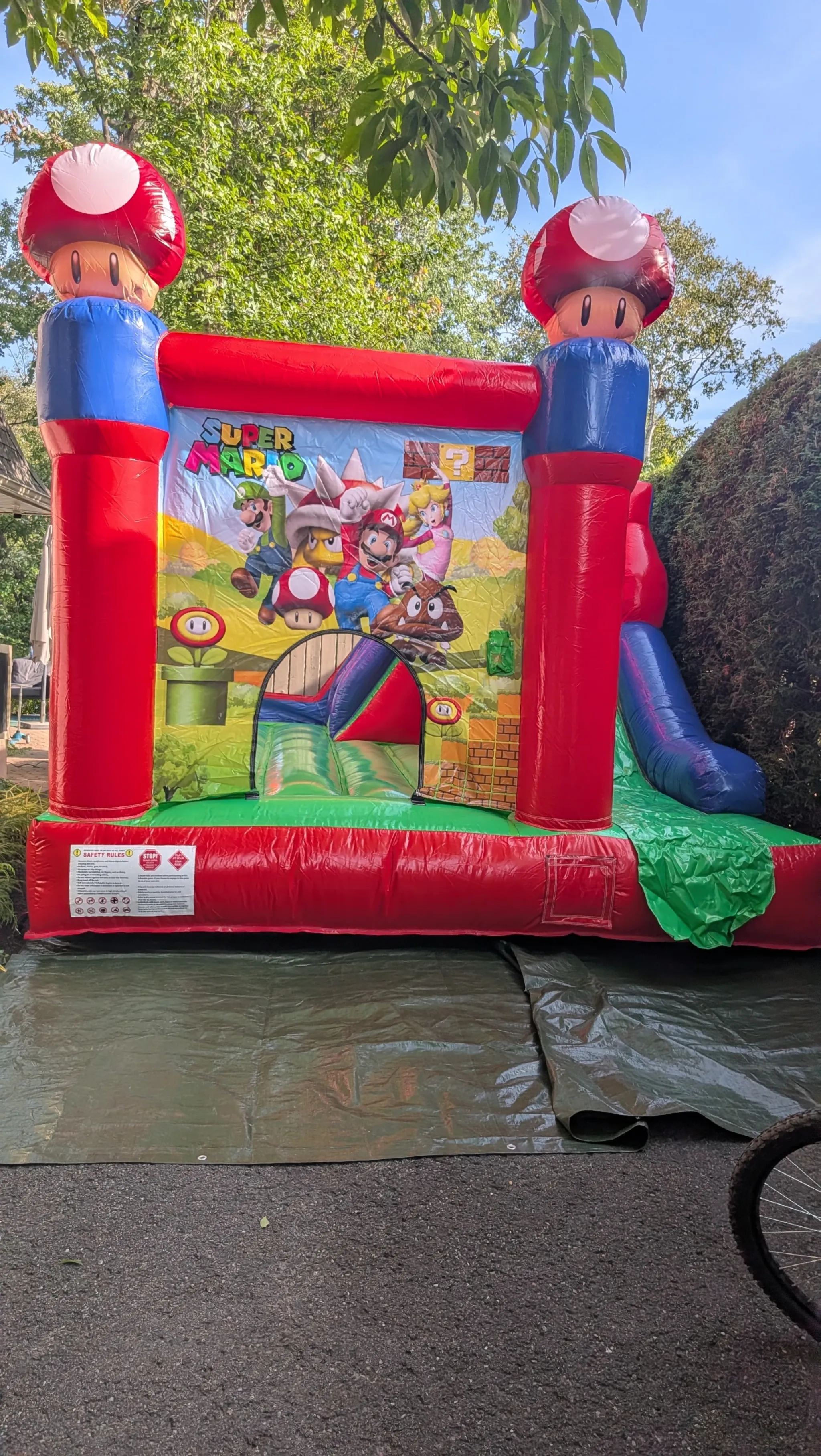 Le Super Mario