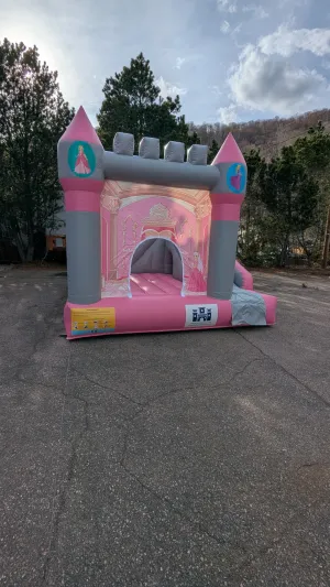 Château de princesse (Pour toute réservation écrivez nous un mail)